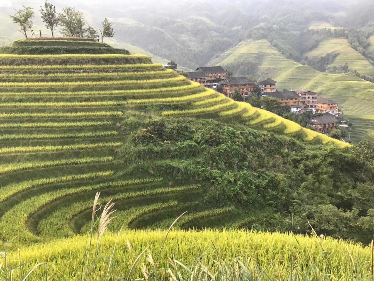 Rice View Villa Longsheng Exterior foto
